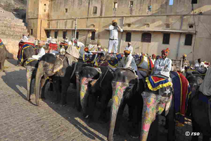 Elefantenreiten in Jaipur