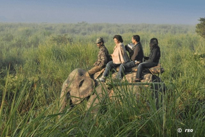 Elefantenreiten Nationalpark
