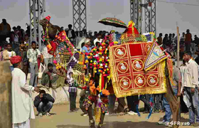 Kamel bei Pushkar Fest