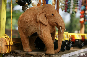 Elefant aus Kokos