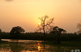Sonnenuntergang am Brahmaputra