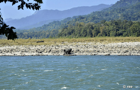 Flußlandschaft Manas mit Elefanten