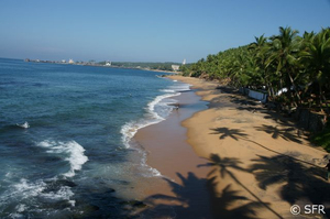 Strand bei Coconut Bay