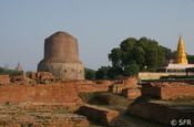 Dhame Stupa Sarnath