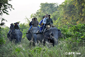 Elefantenreiten im Nationalpark