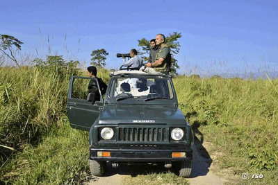 Jeepsafari im Kaziranga Nationalpark
