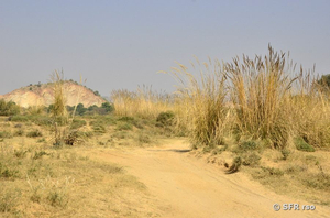 Sandstrecke in Rajasthan