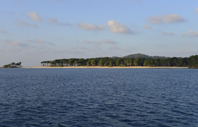 Dschungel Andaman Inseln