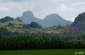 Landschaft in Südindien