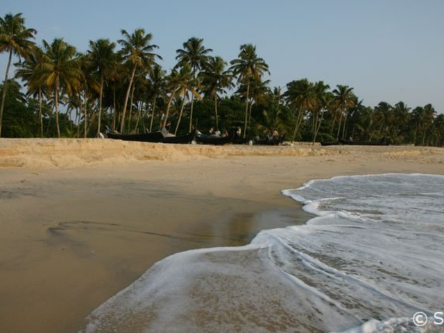 Palmenstrand in Marari