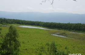 Sumpflandschaft in Indien