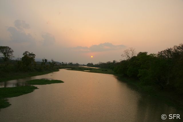 Sonnenuntergang bei den Backwaters